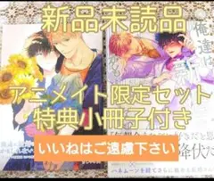 ※アニメイト小冊子付き　『俺達は新婚さんかもしれない ４巻/ちしゃの実』