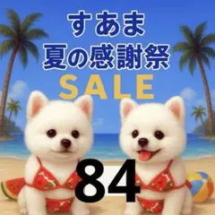 ✨夏の感謝祭セール✨パネル【Ｎｏ．84】