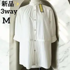 Item thumbnail for item 992ad539-6cb2-43e4-a26f-a2a9268d82fd