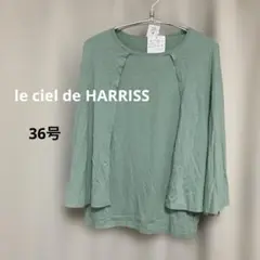 ⭐️ルシェルドハリス レイヤード風 プルオーバー