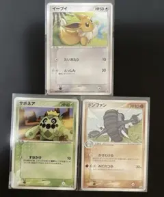 明治　イーブイ　ドンファン サボネア　PROMO PCG-Pプロモカード