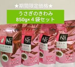 Item thumbnail for item 109a6cf1-c2cb-4751-a089-7f9b3d6c76b3