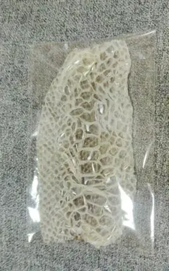 Item thumbnail for item 448874f8-c5fb-4ec6-952b-f24926bfbedb