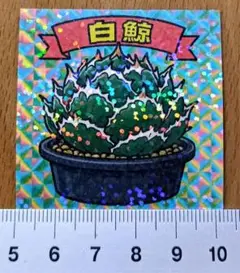 E*i様 L まとめて発送可能　白鯨　アガベ　ステッカー　ビックリマンシールサイ