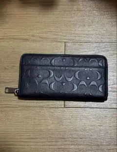 Item thumbnail for item 6b80dbb5-3503-4ed7-af7d-ac2139db4510