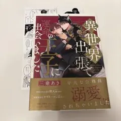 異世界出張で運命の王子に出会いました
