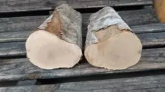 Item thumbnail for item 3bb8ca56-110d-48f0-8b12-e1b3573bb2fd