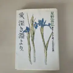 愛、深き淵より 筆をくわえて綴った生命の記録　星野富弘