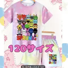 スプランキー　Tシャツ パンツ　上下セット　黒　　ピンク　紫　120サイズ