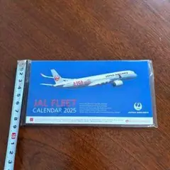 JAL FLEET CALENDAR 2025