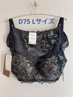 新作 D75 L ワコール★ウィング レシアージュ ブラ&ショーツ