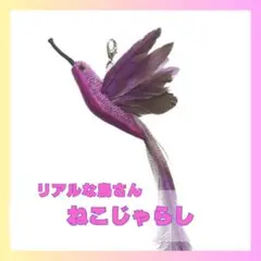 パープルねこ　猫おもちゃ 鳥 猫じゃらし羽のおもちゃ 玩具　979 天然製羽