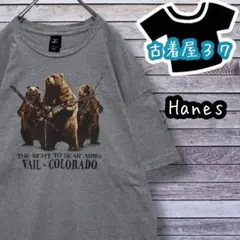 古着ヘインズデカロゴアニマル柄クマゆるだぼTシャツ灰色グレー2XL
