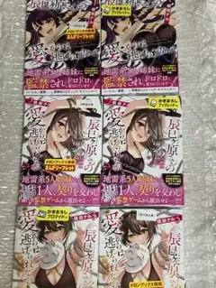 辰巳ヶ原さんの愛からは逃げられない　全3巻2店舗特典付き　メロン　ゲーマーズ