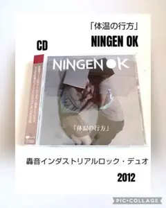 「体温の行方」/ NINGEN OK 2012年作品