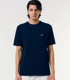 ラコステ　ネイビー Tシャツ