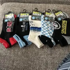 Item thumbnail for item 81221b5f-d127-4fd0-8131-388490e74d8e