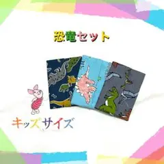 ♥︎935 恐竜　ポケットティッシュケース