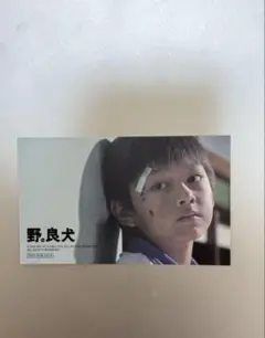 映画 野良犬 SEVENTEEN ジュン 特典 1週目