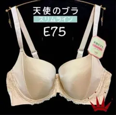 E75 トリンプ 天使のブラ スリムライン スムースBeige ブラ単品