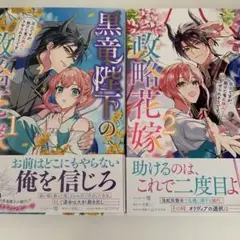 黒竜陛下の政略花嫁 1、2巻
