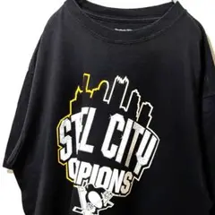 リーボックNFL NHLスティーラーズ ペンギンズ Tシャツブラック黒L古着