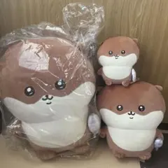 ナガノ　カワウソくじ
