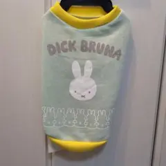 Item thumbnail for item 85ea8b78-725b-485f-ade5-a8b5f96cd276