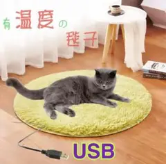 Item thumbnail for item 067b0e55-7e31-455f-bd64-50e195ac79bb