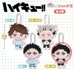ハイキュー!! かぷっこふれんず 赤葦京治　ガチャガチャ ぬいぐるみ