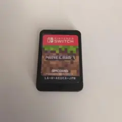 Minecraft Nintendo Switch ソフトのみ