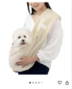Item thumbnail for item 72ad4537-6b51-4847-8a16-83f89a5b20b8