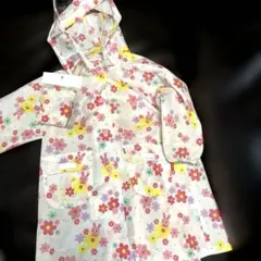 Item thumbnail for item 4c17f53e-c550-48d4-9f02-303e1d1e349b