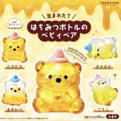 はちみつボトルのベビィベア ガチャ ３種 単品価格！