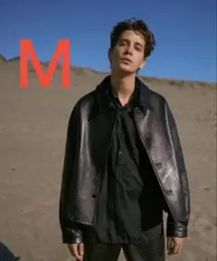 Item thumbnail for item 08e64460-7039-4a6c-9fdd-853a004e2392