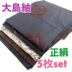 ⭐️s-215【大島紬】5枚set⭐️正絹⭐️リメイク素材、着付け練習用など