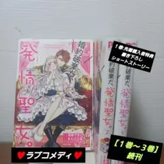 婚約破棄だ、発情聖女。