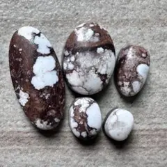 ホワイト﻿ターコイズ　ワイルドホース　5P（19.2ct ）ナチュラル