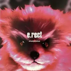 machine/e.rect （祝　再起動！）