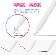 iPadタッチペン ペンシル スタイラスペン 替え芯二つ付 ペンケース付 新品