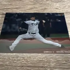 阪神タイガース 岩崎優 写真