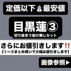 SnowMan 目黒蓮 ③v 午後の紅茶 すのチル 公式写真 アクスタ 切り抜き