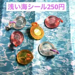 浅い海シール