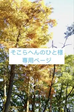 そこらへんのひと様　専用ページ