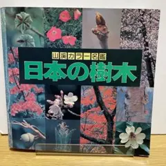 増補改定新版　日本の樹木 Amazon.co.jp: 増補改訂新版 日本の樹木 (山溪カラー名鑑) : 編