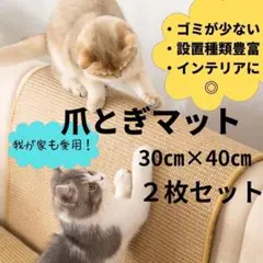 Item thumbnail for item 92ced5bd-ab30-49c6-85cb-711e1434018c