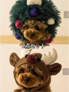 Item thumbnail for item 6f09c1c7-20c0-4d4c-9a65-5dcbdae98725