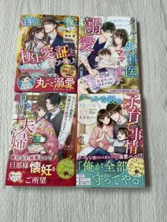 ベリーズ文庫　小説　セット　恋愛小説
