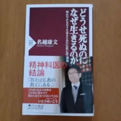 どうせ死ぬのになぜ生きるのか 名越康文