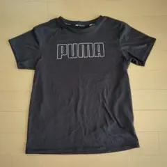 プーマ 半袖 Tシャツ 150cm 黒 ブラック PUMA
